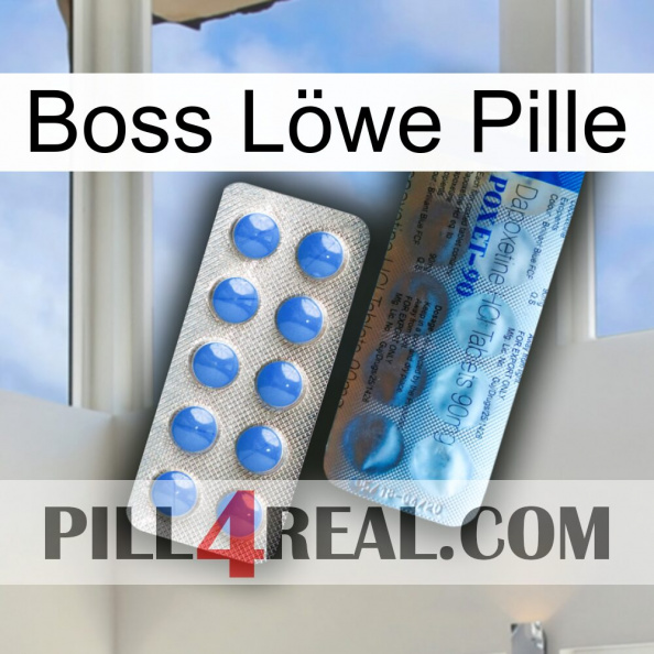 Boss Löwe Pille 40.jpg